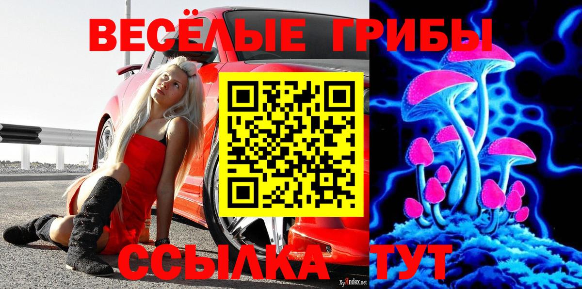 Псилоцибиновые грибы Psilocybine cubensis Ревда