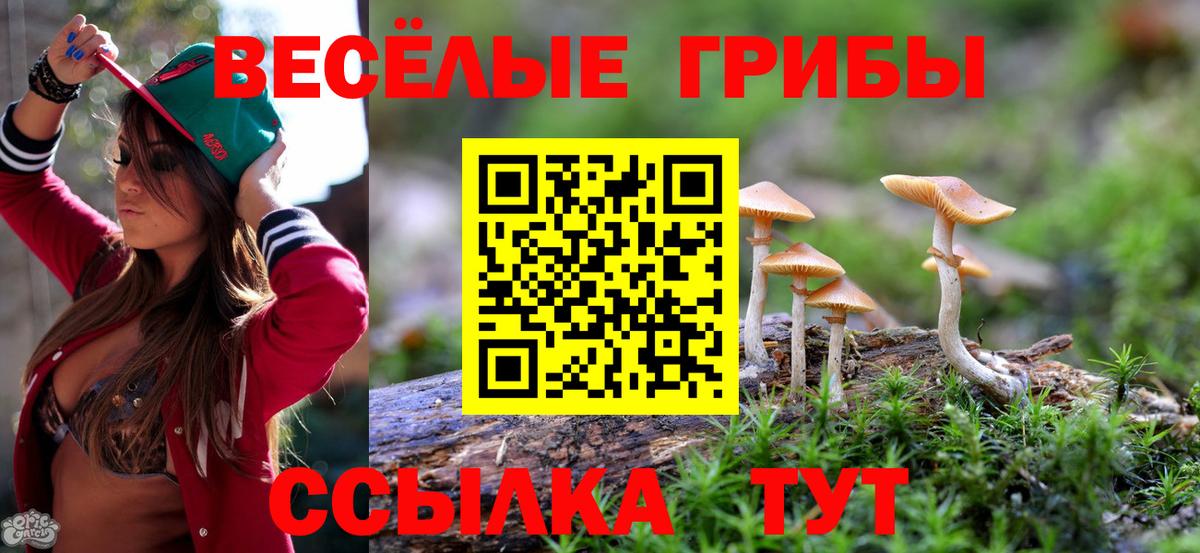 Ревда  Псилоцибиновые грибы прущие грибы  Вход с VPN  Псилоцибиновые грибы Psilocybe 